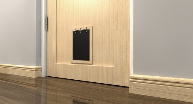 Cat Flap Installation Hampton, KT8