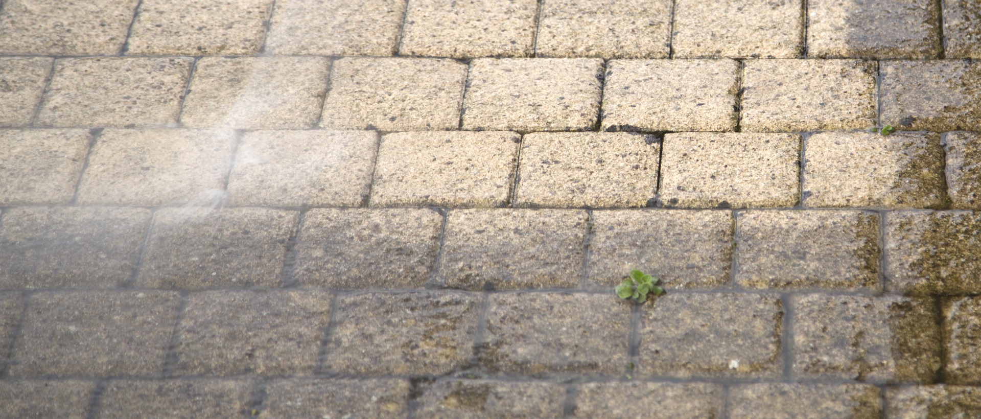 flagging and patios KT8