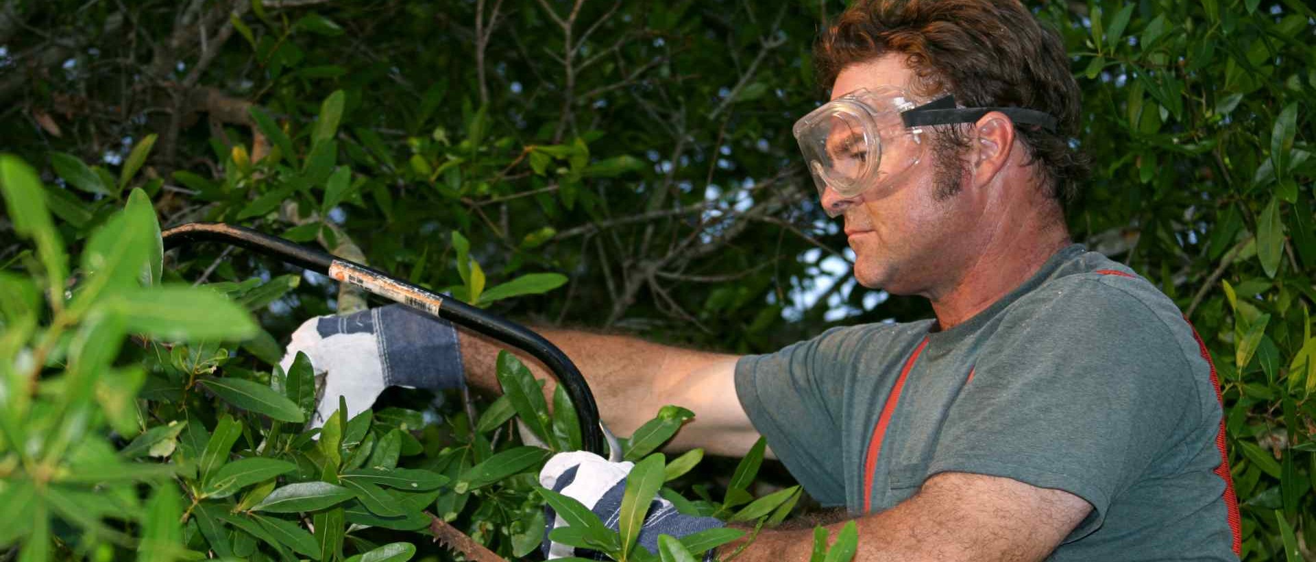 garden clearance KT8